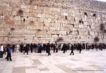 Jewish worshipers at the Western Wall